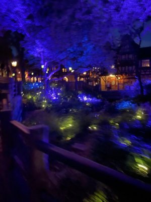 IMG_9494.jpeg