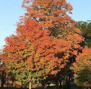 IMG_4400.jpeg