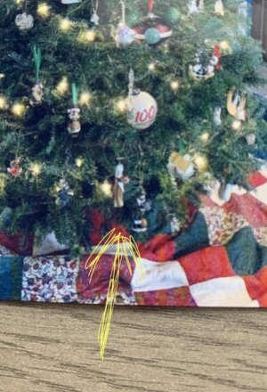 IMG_1352.jpeg