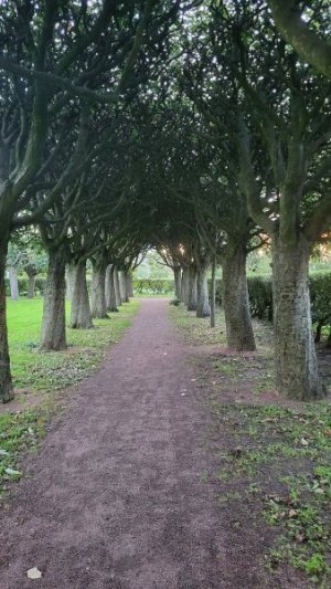 20230921_065647.jpg