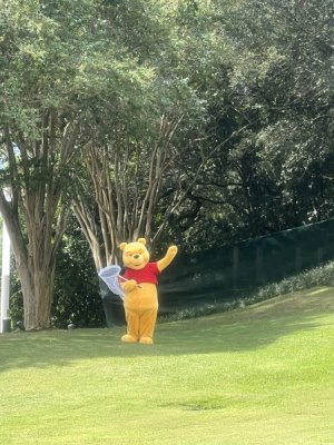 IMG_2175.jpeg