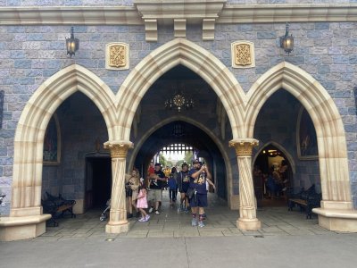 IMG_6410.jpeg IMG_6410.jpeg