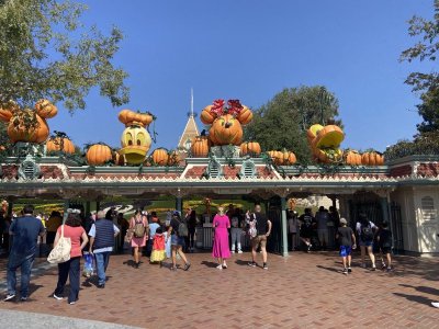 IMG_6435.jpeg