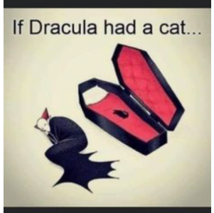 1695661290295.png