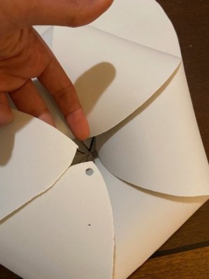 thumbnail_IMG_6116.jpg