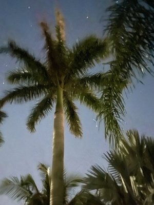 IMG_4411.jpeg