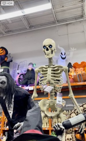 IMG_8072.jpeg