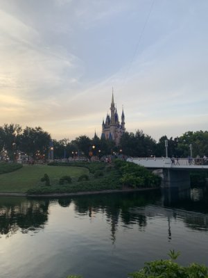 IMG_3632.jpeg