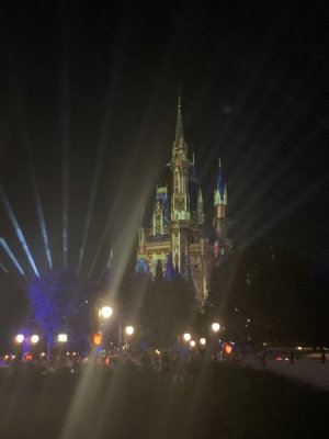IMG_3646.jpeg