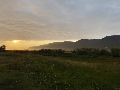 IMG_9536.jpeg