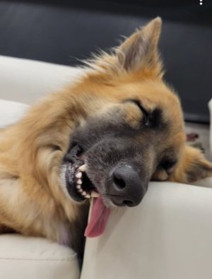 tired meg.jpg