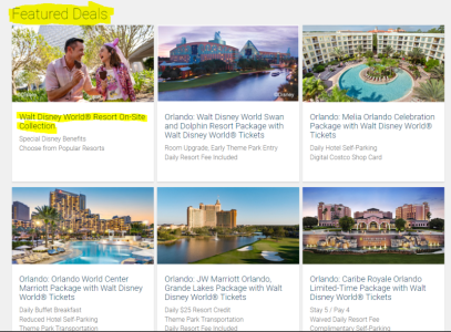 WDW.PNG