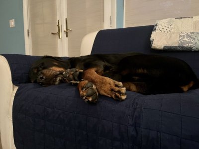 in the couch.jpg