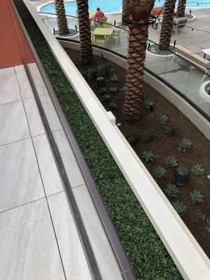 IMG_1192.jpeg
