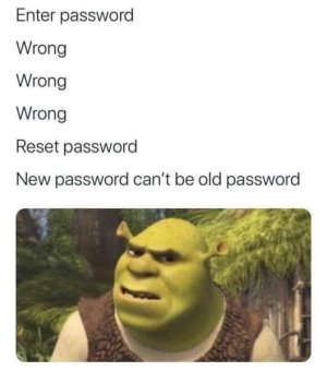 1696054051145.jpeg