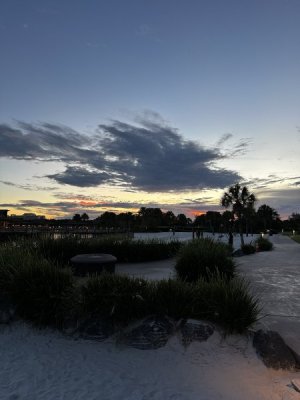 IMG_2592.jpeg