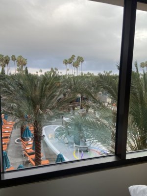 IMG_1771.jpeg