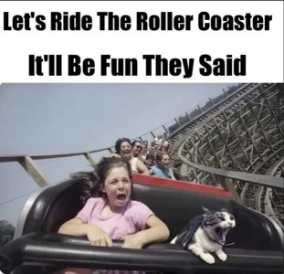 IMG_3907.jpeg