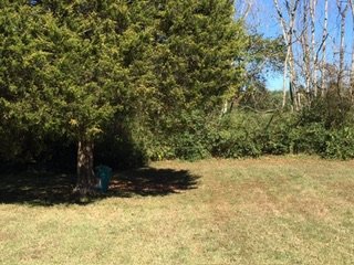 IMG_9752.jpeg