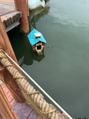 IMG_0109.jpeg IMG_0109.jpeg