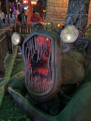 IMG_2447.jpeg