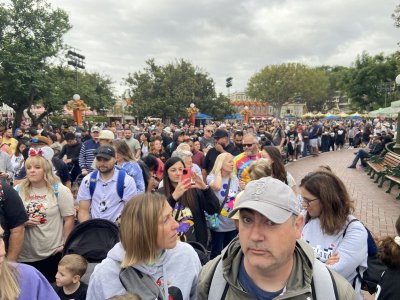 IMG_6536.jpeg