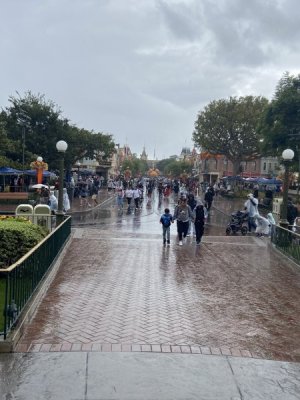 IMG_6547.jpeg