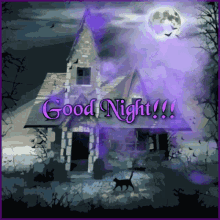 IMG_2317.gif