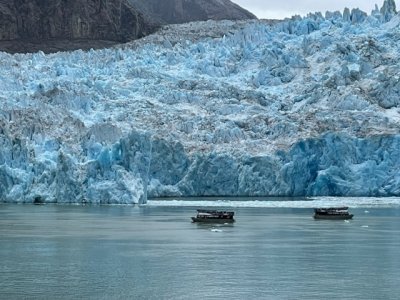 IMG_1540.jpg
