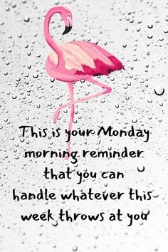 Flamingo Reminder.jpg