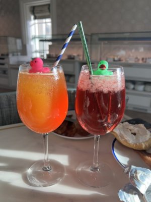 IMG_1004.jpeg
