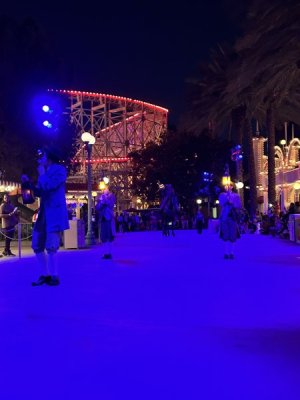 IMG_2385.jpeg