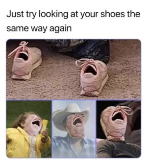 1696325311608.jpeg