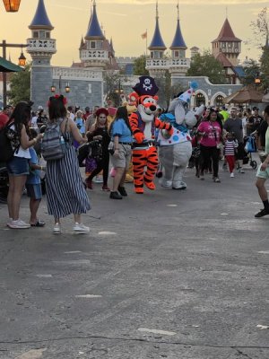 AE6376F8-749B-4E1E-B884-D68C76904F0F.jpeg