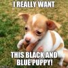 bluewhiteblackgold.jpg