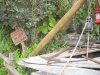 DSCN8870.JPG