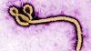 EBOLA.jpg