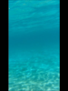 Snapshot 2 (3-5-2015 12-50 PM).png