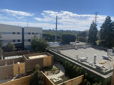 IMG_7110.jpeg