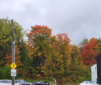 20231008_133659.jpg