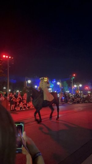 IMG_7076.jpeg