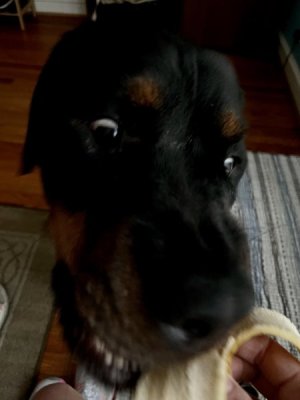 banana monster.jpg