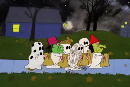 IMG_2505.gif