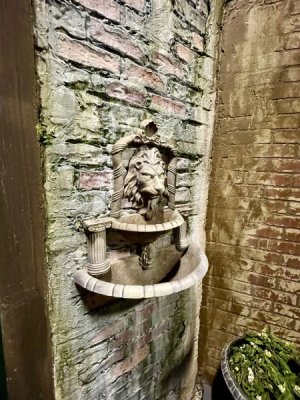 IMG_6605.jpeg