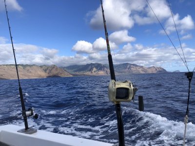 IMG_4857.jpeg