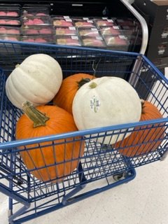 IMG_1785.jpeg