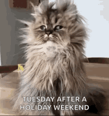 IMG_2521.gif IMG_2521.gif