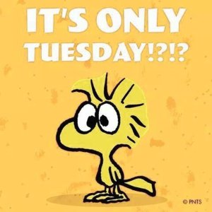 Its-Only-Tuesday.jpg