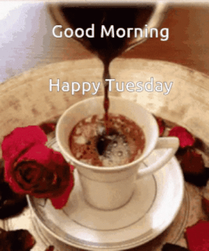 IMG_2529.gif