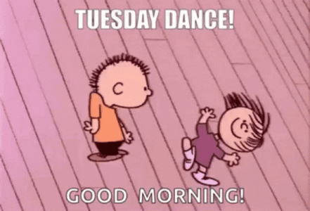 IMG_2530.gif